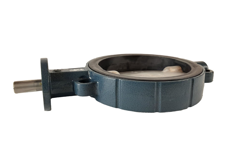 Absperrorgan NW 250 ohne Stellantrieb